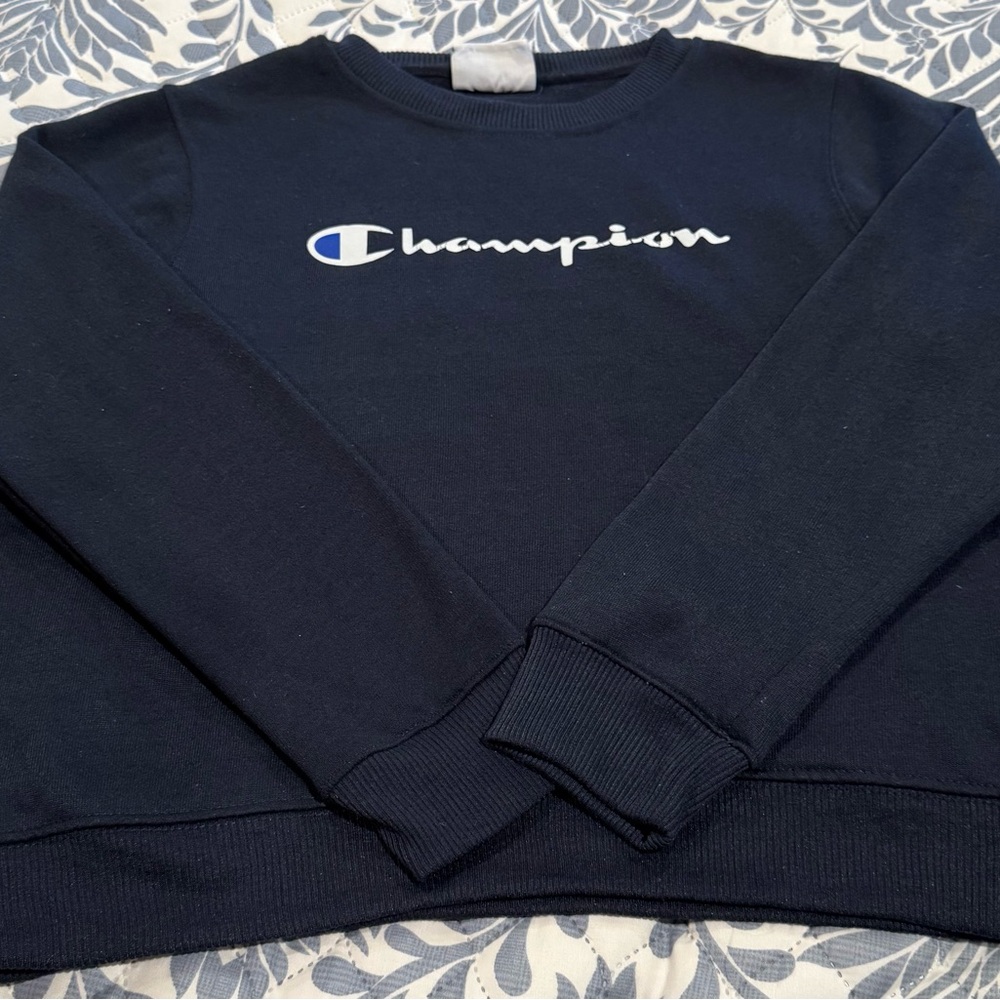 Champion Navy Sweater